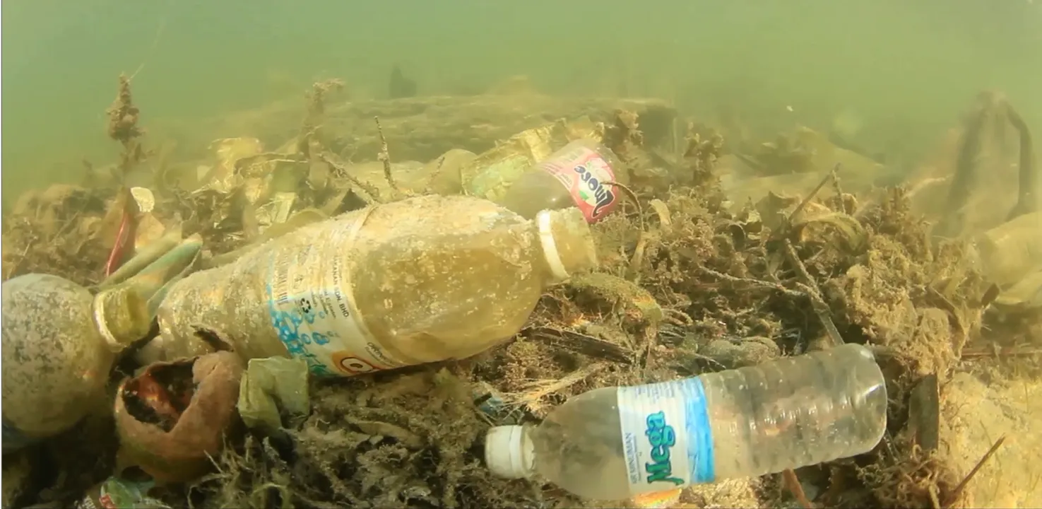 World Oceans Day Marks Milestone in Progress for the 2020 United Nations  Oceans Targets